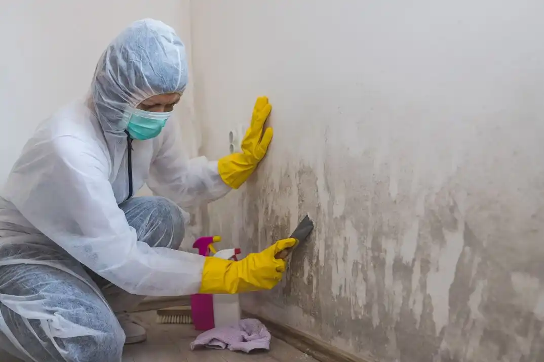 water damage restoration service Silver Valley